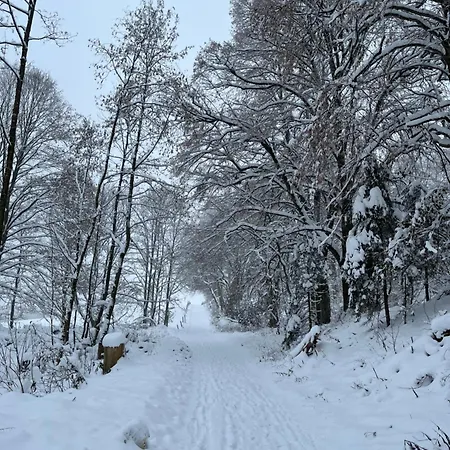 Apartmán Bergliebe *